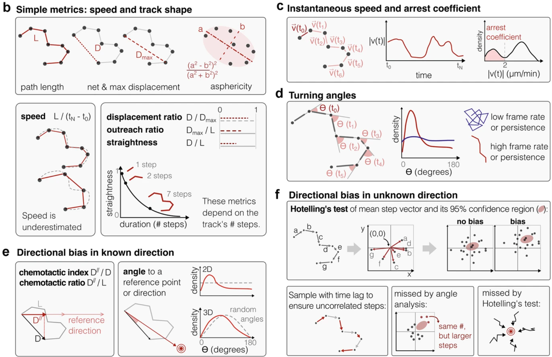Measures to quantify motility graphical abstract